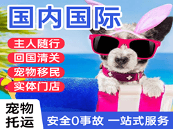 鸡西兴凯湖机场快运国际宠物托运 【国